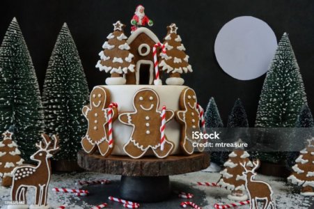 istockphoto-1356375682-1024x1024.jpg