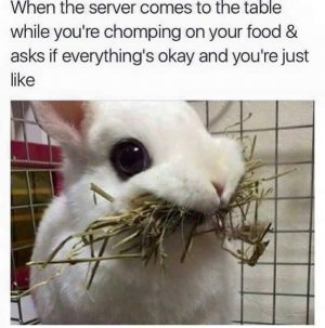IMG_5511.jpeg