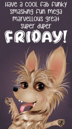 fri0.jpg