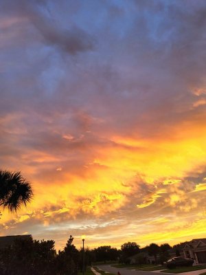 20231124_065643.jpg
