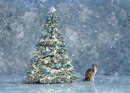 the-christmas-tree-cat-betsy-knapp.jpg