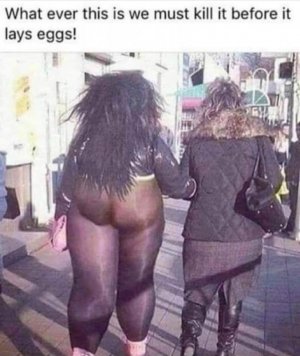 FB_IMG_1606769230771.jpg