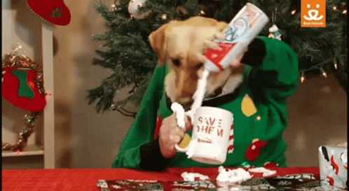 pup cup .gif