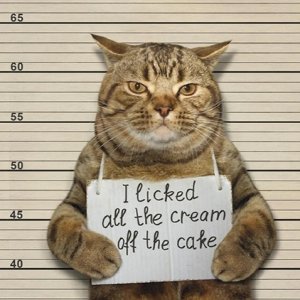 offthecake.jpg