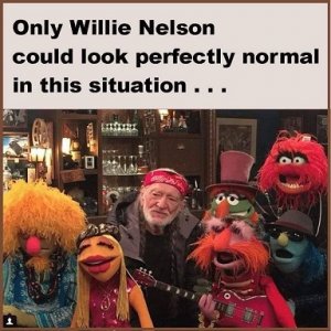 willie.jpg