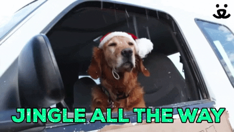 jingle all the way gif.gif