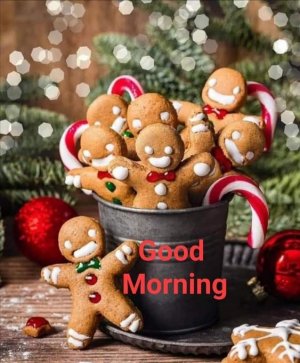 2290c745960fd9a6edc9f03eb58740f2[1].jpg