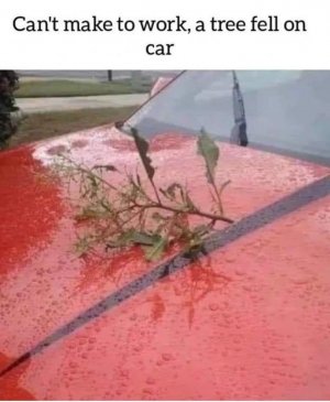 IMG_5530.jpeg