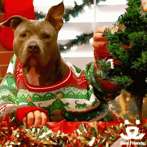 decorating the tree .gif