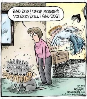 Bad dog.jpg