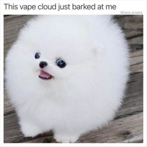 774df09bda99d7b3abee690b0e7316e9.jpg