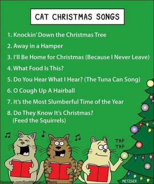catchristmassongs.jpg
