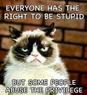 cattitude11272.jpg