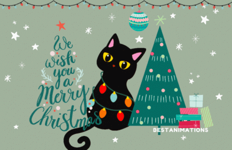 merry-christmas-cat-greetings-animated-gif.gif