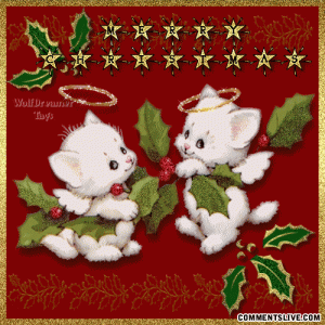 cat-angels.gif
