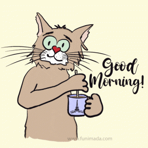 goodmorning-sfgif.gif
