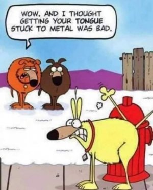 FB_IMG_1700897260053.jpg