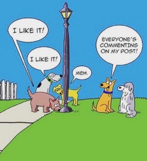 FB_IMG_1701128176320.jpg