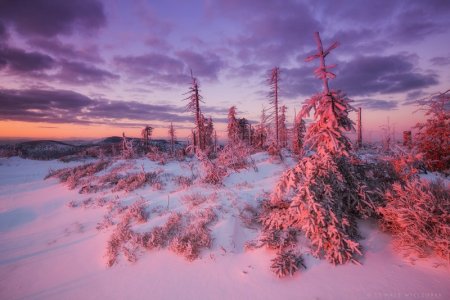 frosty3.jpg