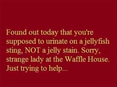 IMG_5540.jpeg