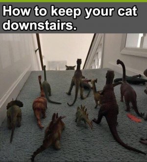 IMG_5550.jpeg