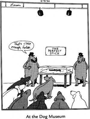 Dog Museum.jpg