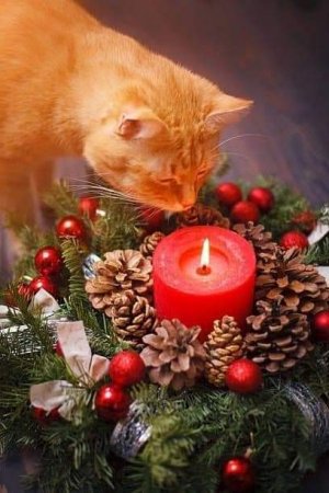 FB_IMG_1701278922066.jpg
