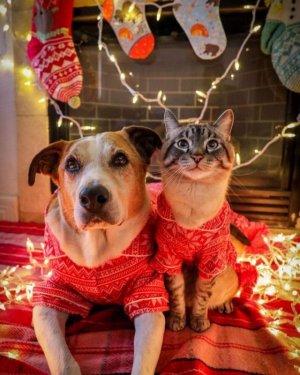 FB_IMG_1701278903893.jpg