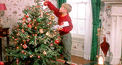 boy decorating tree .gif