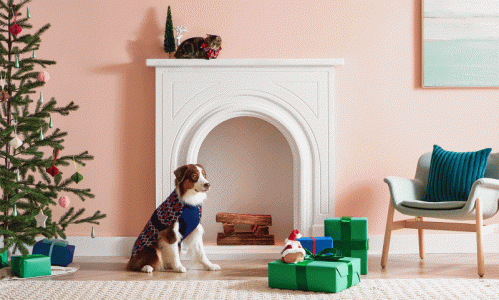 pet xmas stockings .gif