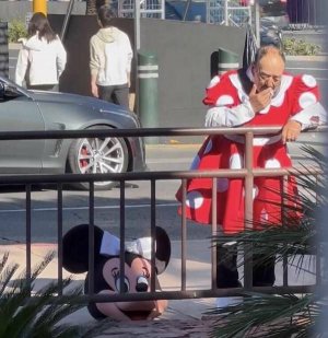 minnie.jpg