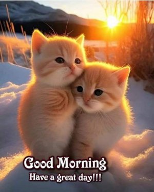 FB_IMG_1701322241764.jpg