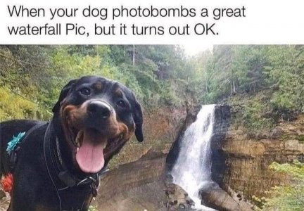 IMG_5571.jpeg