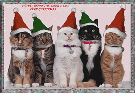 Xmas Cats.3.gif