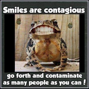 frog.jpg