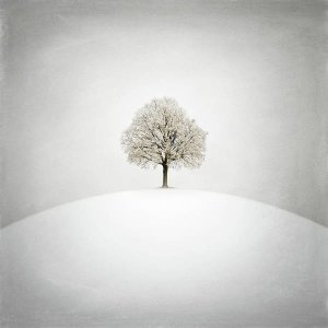 white-zoltan-toth.jpg