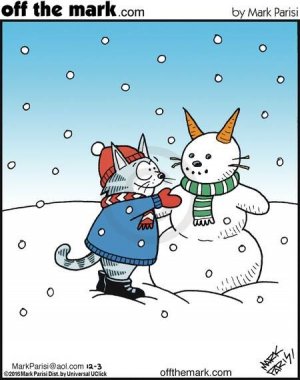 snowcat.jpg