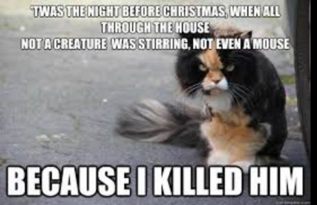 xmas4.JPG