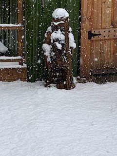 snow 2.jpg