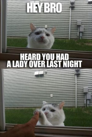 animal-pictures-with-captions-dumpaday-4.jpg