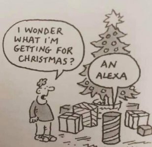 an-alexa.jpg