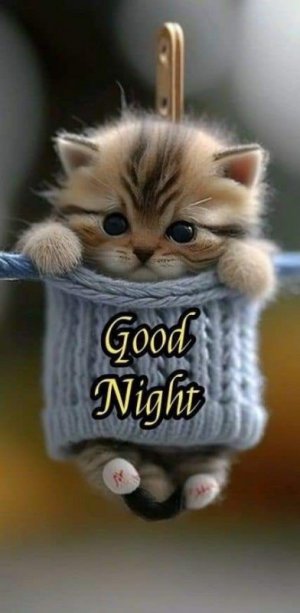 631ee183c0bb2dcd924d81e63efb0870[1].jpg
