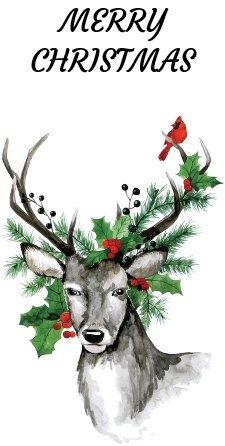 Christmas Card 2023B.jpg