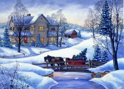 bringing home the tree.jpg