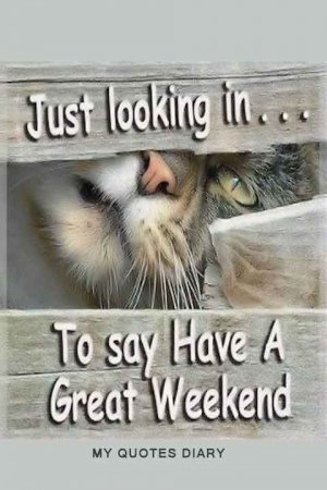 8e16b60db7204103779b2791a62796c2[1].jpg