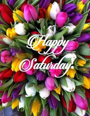 68b6684a458b3734e0e9864c0b702583[1].jpg