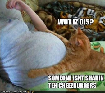 e43d0eb415d73e25dce67a9e98e32a1d.jpg