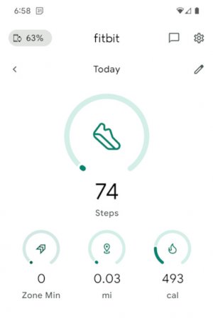 fitbit.jpg