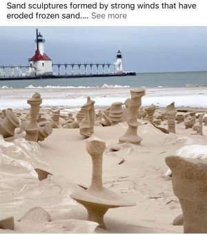 IMG_0967.jpeg