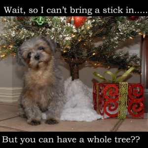 IMG_5623.jpeg